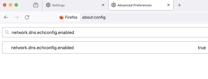 Second step in ECH configuration in Firefox